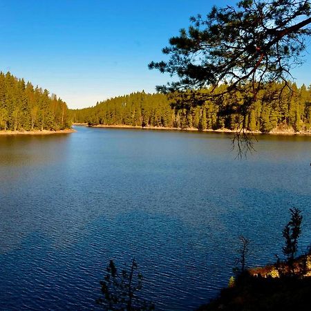 Lake And Forest Hideaway Villa Årjäng Kültér fotó