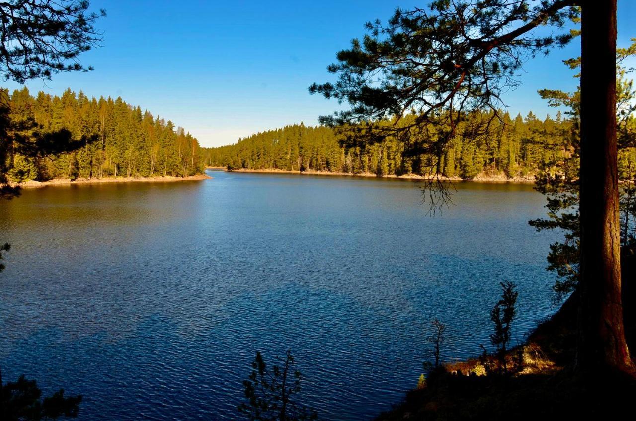 Lake And Forest Hideaway Villa Årjäng Kültér fotó